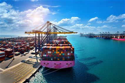 Sea Freight Service 